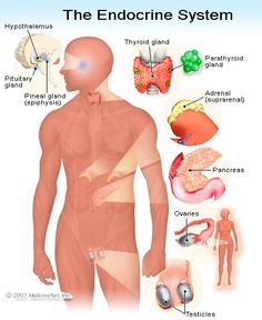 endocrine-disorders